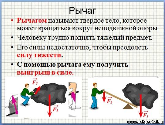 термины термины